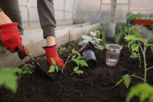 will pennies on soil keep grubs away from plants